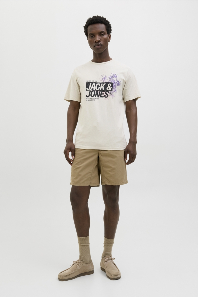 JJJAXON TEE SS CREW NECK 12269390 MOONBEAM